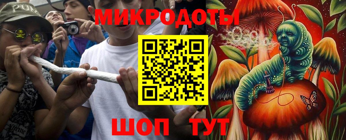 Галлюциногенные грибы Psilocybe  Вход с VPN  Лениногорск 