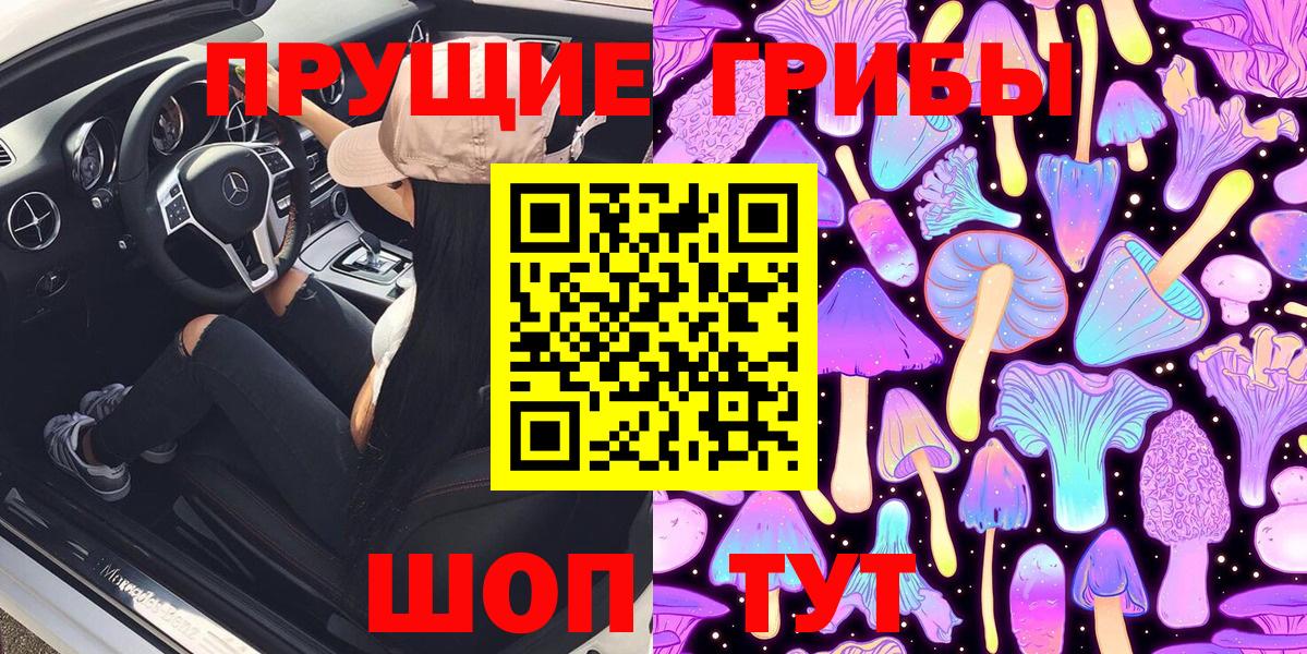 Псилоцибиновые грибы мицелий Лениногорск